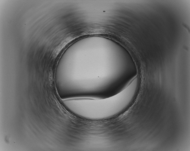 X0000103461457200809261829