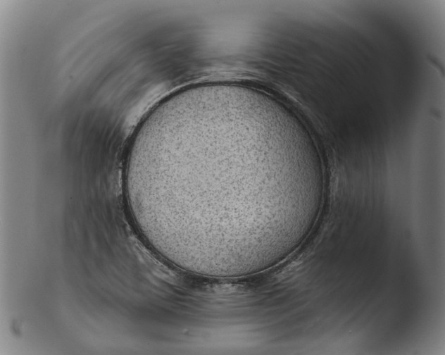 X0000103461459200809261829