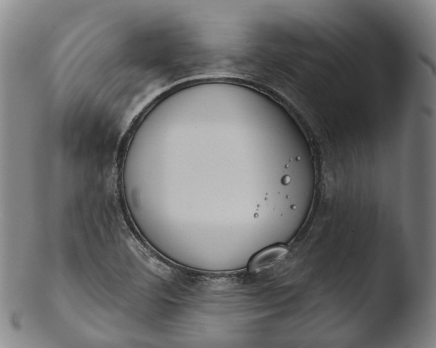 X0000103461460200809261829