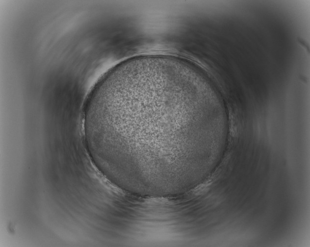 X0000103461462200809261829