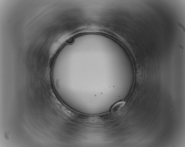 X0000103461464200809261829