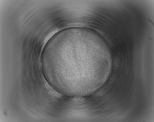 X0000103461466200809261829