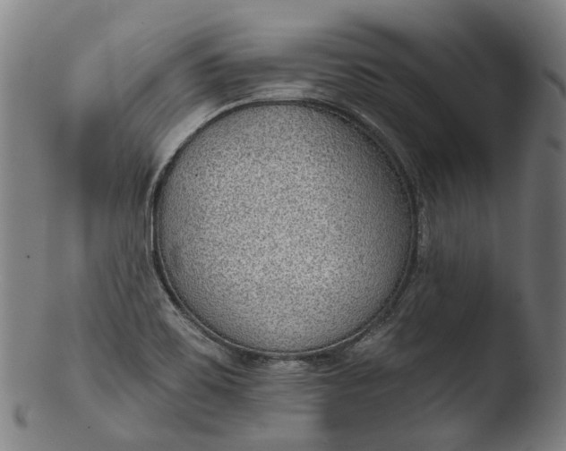 X0000103461467200809261829