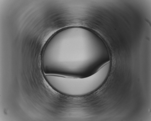 X0000103461468200809261829