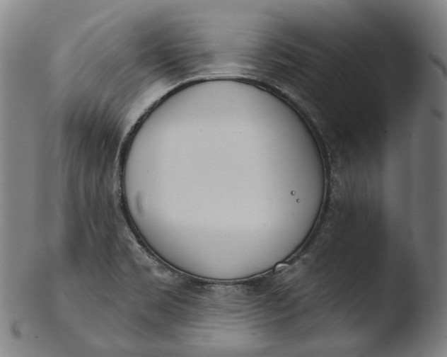 X0000103461469200809261829