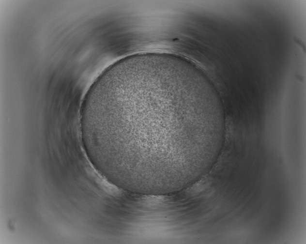 X0000103461470200809261829