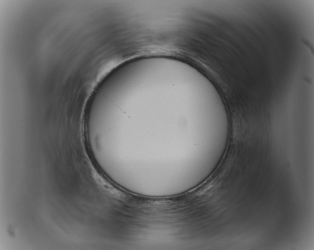 X0000103461471200809261829