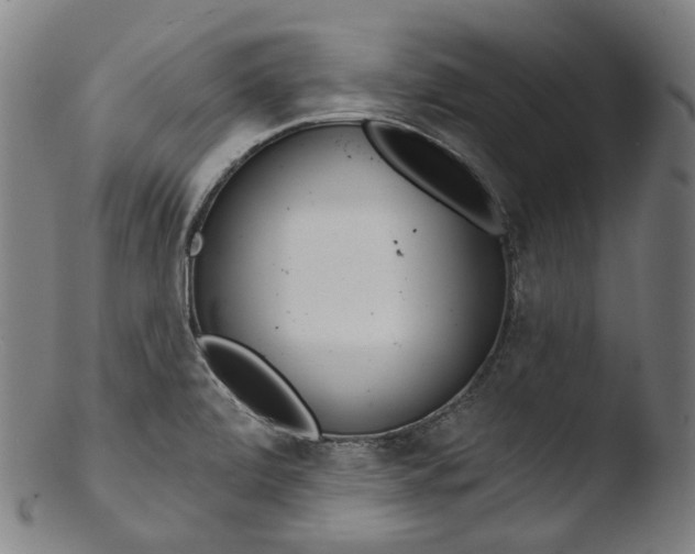 X0000103461472200809261829