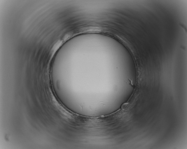 X0000103461475200809261829