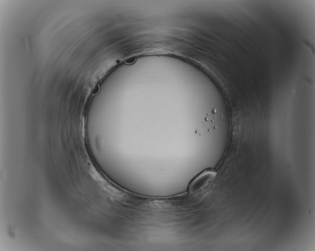 X0000103461476200809261829