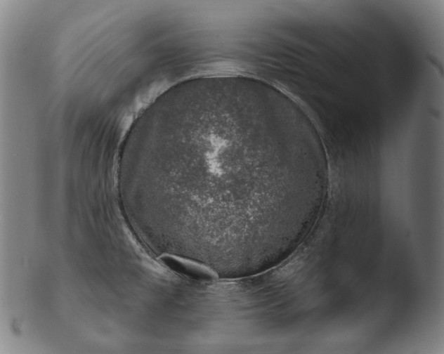 X0000103461477200809261829