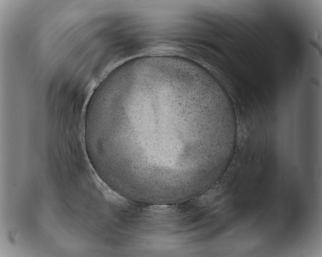 X0000103461478200809261829