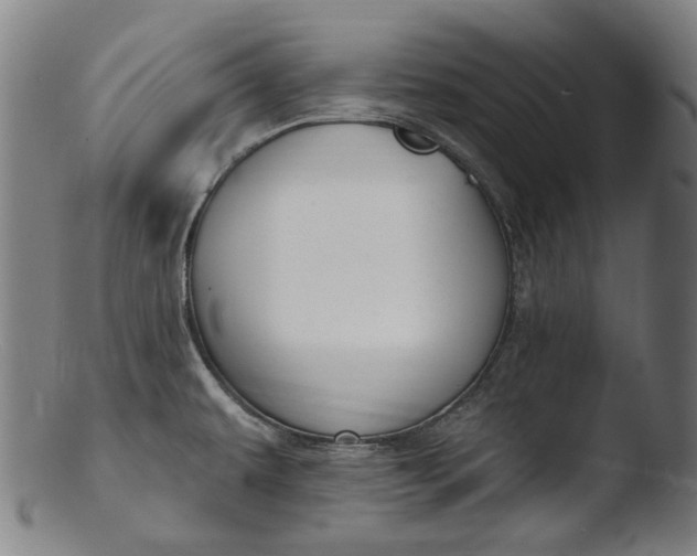 X0000103461479200809261829