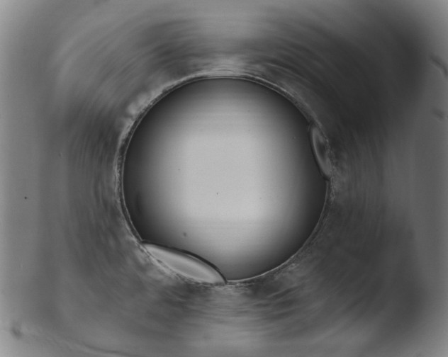 X0000103461480200809261829