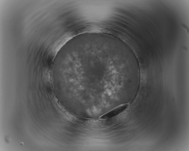 X0000103461481200809261829