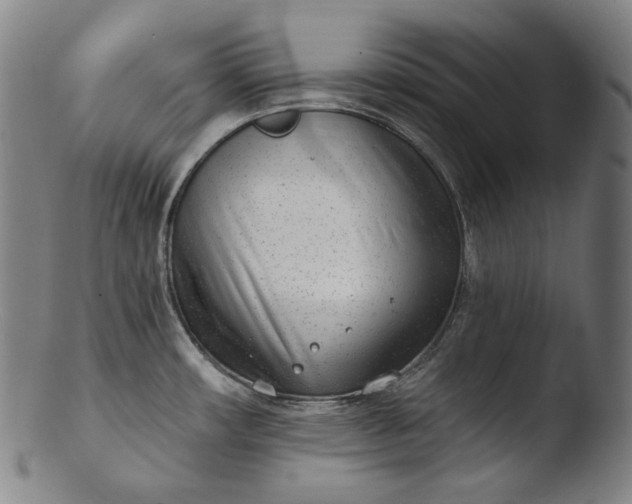 X0000103461482200809261829