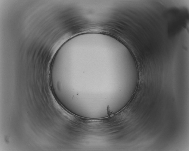 X0000103461483200809261829