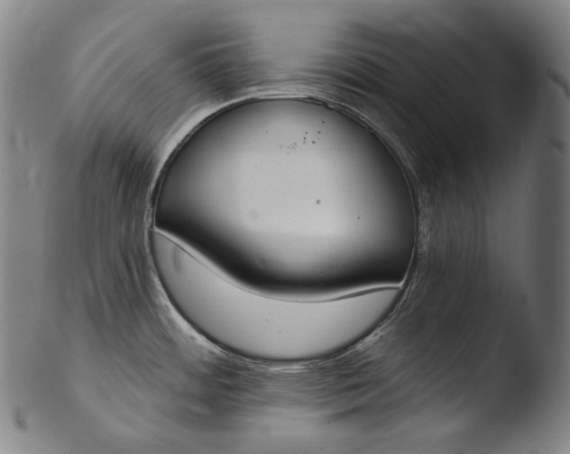 X0000103461484200809261829