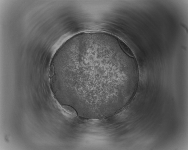 X0000103461485200809261829