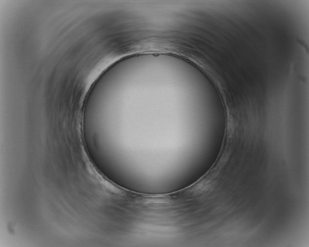 X0000103461486200809261829