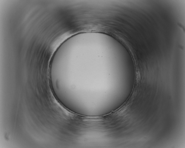 X0000103461487200809261829