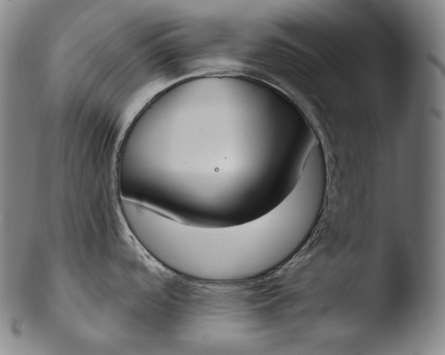 X0000103461488200809261829