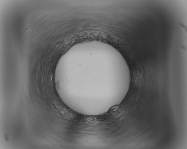 X0000103461489200809261828