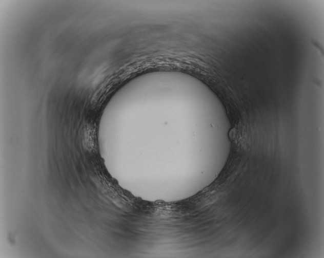 X0000103461490200809261828