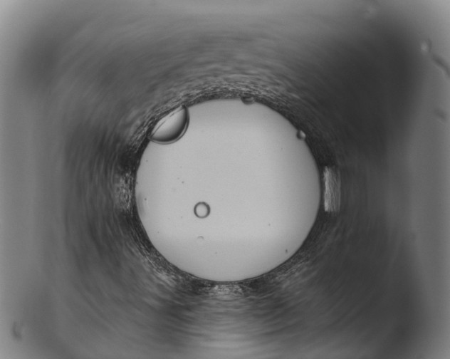 X0000103461491200809261828