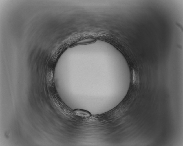 X0000103461492200809261828