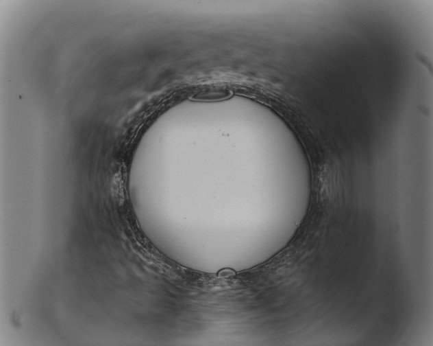 X0000103461493200809261828