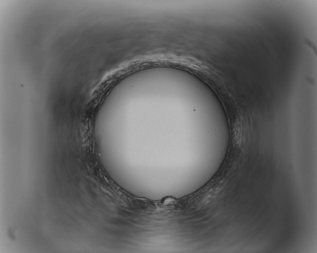 X0000103461494200809261828