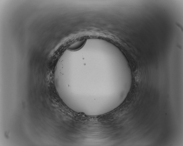 X0000103461495200809261828