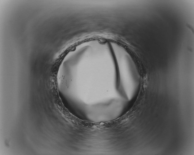 X0000103461496200809261828