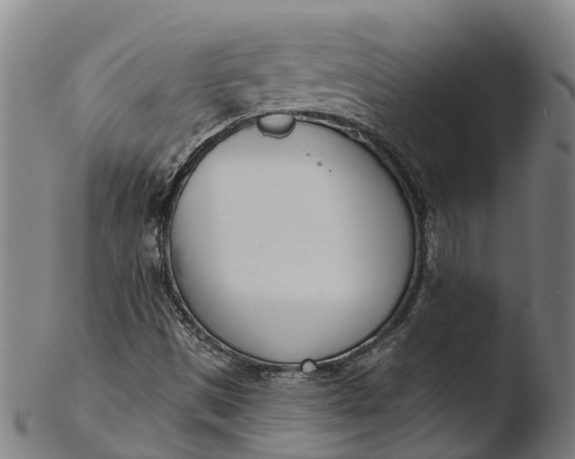 X0000103461497200809261828