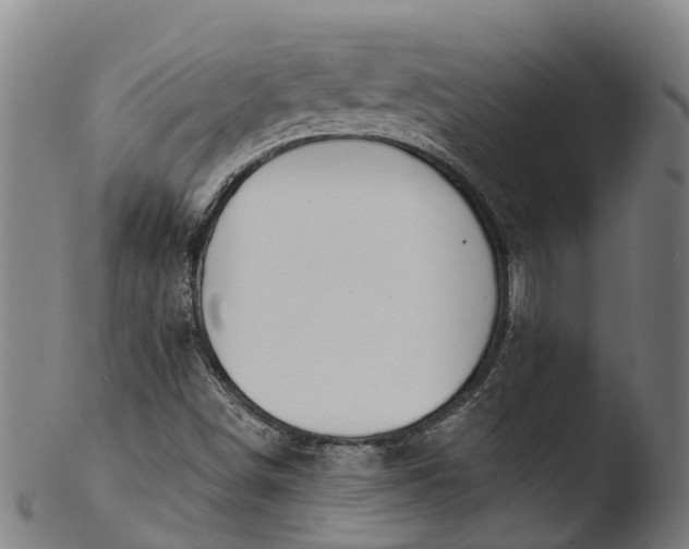 X0000103461498200809261828