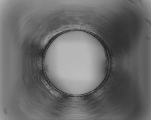 X0000103461499200809261828