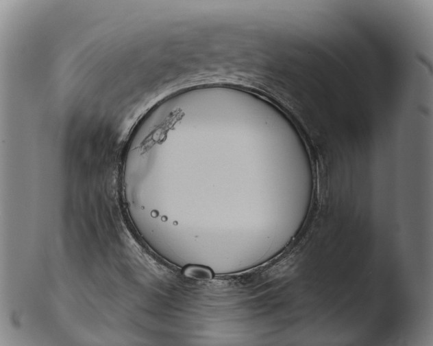 X0000103461500200809261828