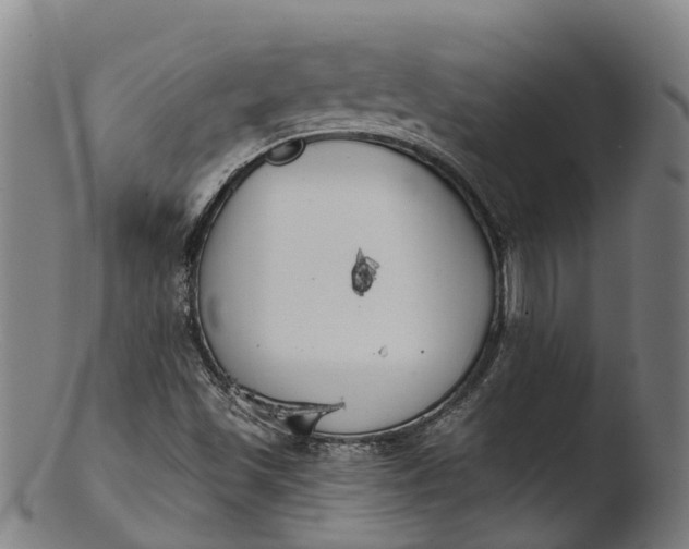 X0000103461501200809261828