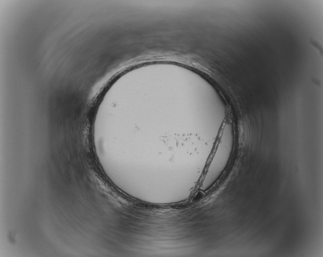 X0000103461502200809261828