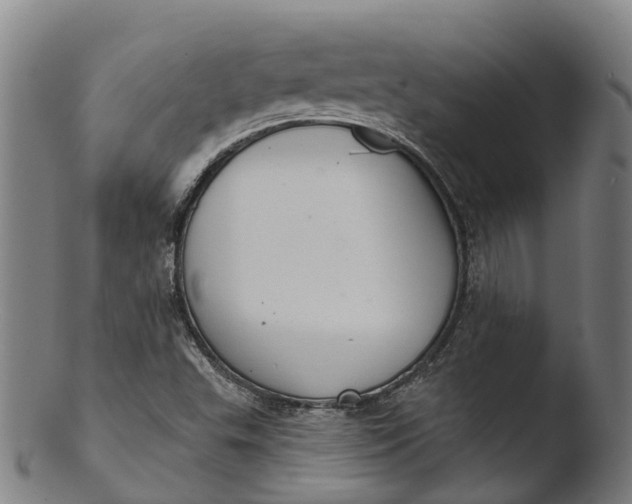 X0000103461503200809261828