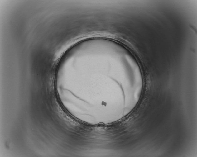 X0000103461504200809261828