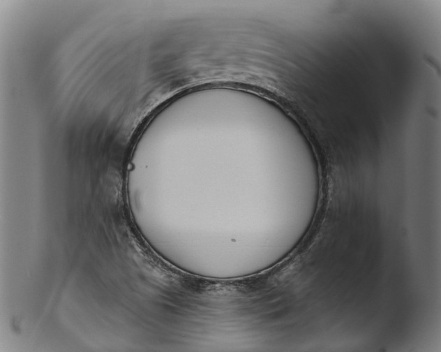 X0000103461505200809261828