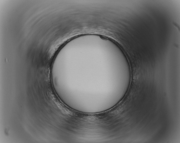 X0000103461507200809261828