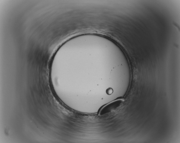 X0000103461508200809261828