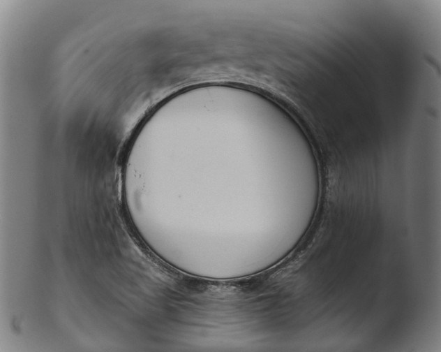 X0000103461509200809261828