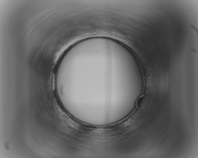 X0000103461510200809261828