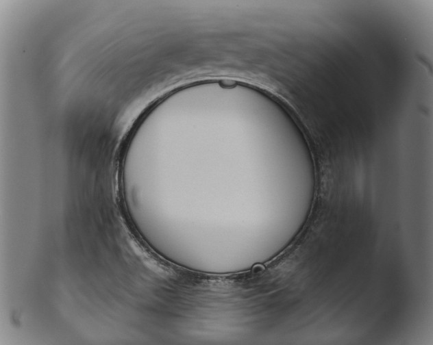 X0000103461511200809261828