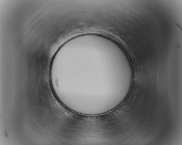 X0000103461512200809261828