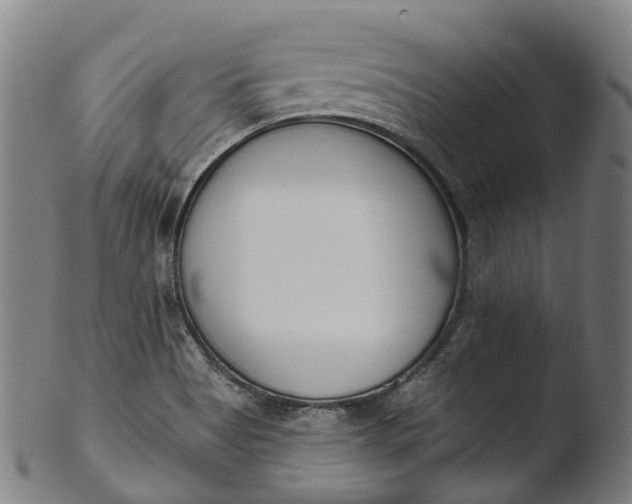 X0000103461513200809261828